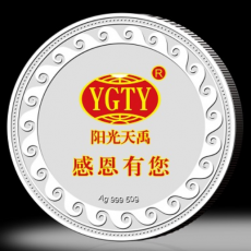 陽光天禹紀念銀章