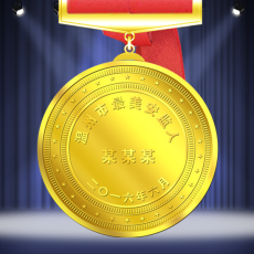 溫州最美安檢人表彰紀(jì)念獎牌