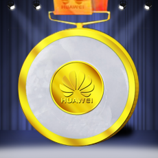 華為之星金鑲玉獎牌